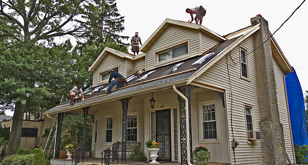 Best Roof Gutter Cleaning  in Crosbyton, TX
